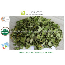 Organic Moringa leaves